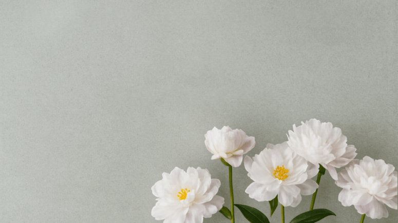 Mothers and Daughters&nbsp;Night